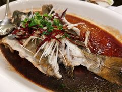 -开海·红岛海鲜虾水饺(石老人店)