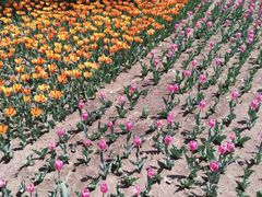 -长春公园(普阳街道)