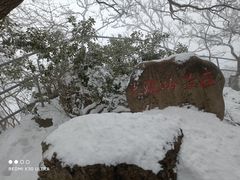 -紫金山山顶公园
