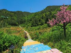 -龙里油画大草原旅游区