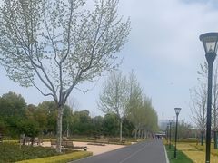 -上海山野camping·户外天幕烧烤·团建拓展营地