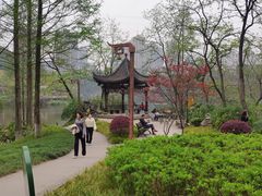 -重庆彩云湖湿地公园