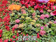 -天河体育中心
