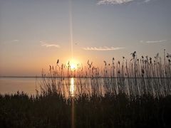 -阳澄湖半岛旅游度假区