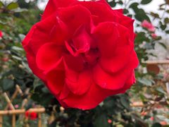 -人民公园(罗湖区)