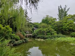 -秋霞圃