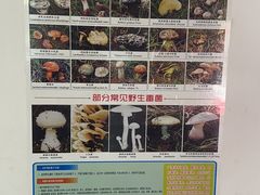 -双喜农庄·菌香园(安居家园店)