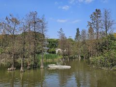-海珠湖公园
