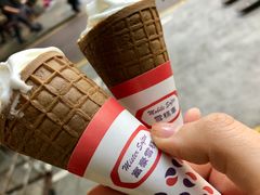 -富豪雪糕车流动点(尖沙咀店)