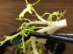 -唇辣号重庆老火锅(燕郊鑫乐汇店)