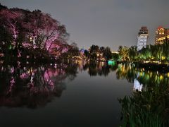 -北湖公园