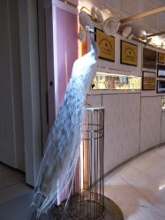 -英芬国际月子中心(岛屿度假月子·洲至奢选香岚店)