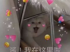 -华仔龙虾(永乐路总店)