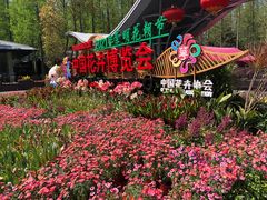-东平国家森林公园