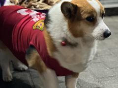 -老四川平头酸菜鱼(衙前店)