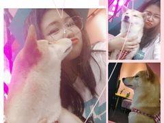 -逗柴咖啡屋·狗咖猫咖宠物桌游