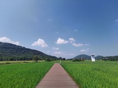 -艾米稻香小镇