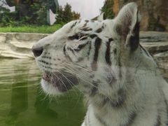 -杭州野生动物世界
