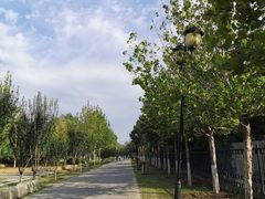 -永定河休闲森林公园