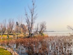 -西昌邛海湿地