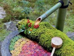 -居然之家软装灯饰馆(十里河店)