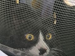 -纳吉亚猫专科动物医院·北北分院