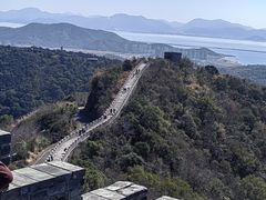 -黄贤森林公园