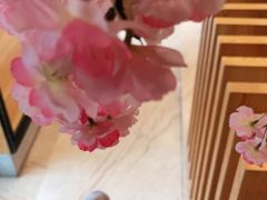 -御池园(顾村公园店)