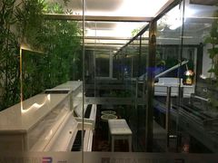 -圣典成人钢琴俱乐部(国贸旗舰校区)