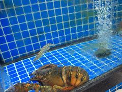 -碧海银沙海鲜餐厅(恒大海上威尼斯店)