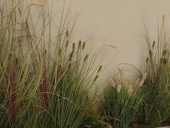 -必胜客(太白路店)