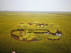 -红海滩国家风景廊道