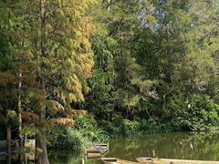 -深圳仙湖植物园