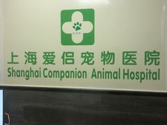 -爱侣宠医·鹦鹉专科·小型哺乳类·异宠专科(灵石路店)