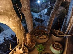 -Ginger(兴国路店)