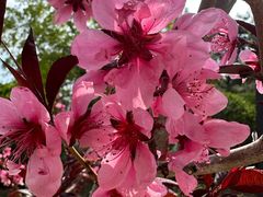 -元大都城垣遗址公园