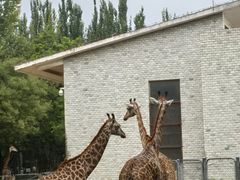 -石家庄市动物园