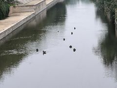 -王府井天主教堂