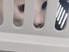 -美联众合24小时·皮肤科·外科·全科诊疗中心(华苑分院)