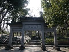 -慧因高丽寺
