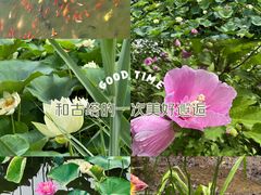 -廊坊文化艺术中心