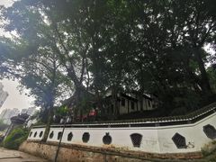 -关岳庙