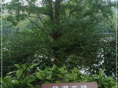 -重庆彩云湖湿地公园
