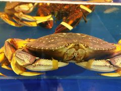 -麦德龙(包河店)