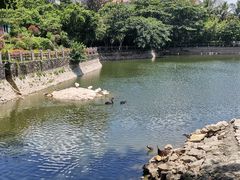 -三亚蜈支洲岛旅游区
