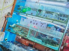 -浔味·山屿湖·正宗淳牌全鱼宴老字号