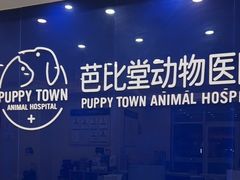-芭比堂动物医院·24小时·眼科中心(深圳中心)