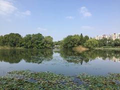 -新江湾城公园