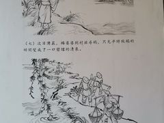 -靖西鹅泉风景区