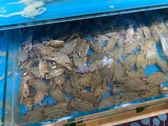 -加尔森烤肉海鲜·火锅烧烤自助